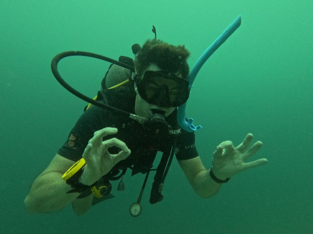 Dive Central Gili景点图片