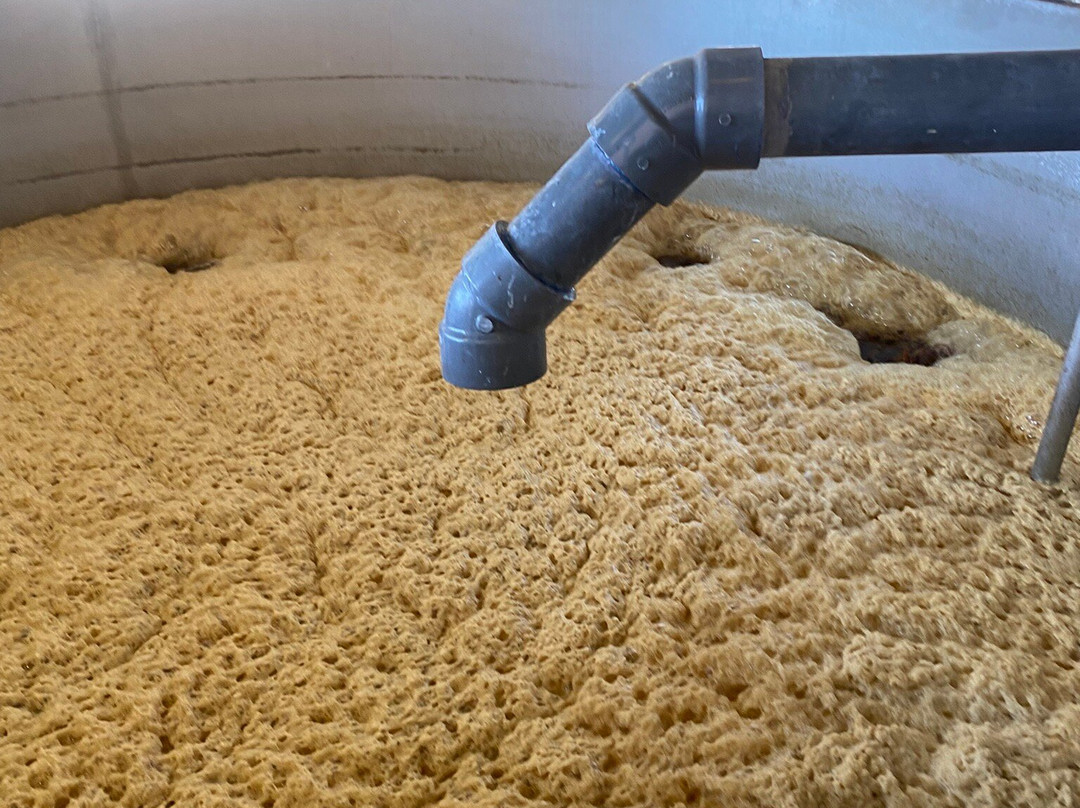 Cruzan Rum-Frederiksted必去景点