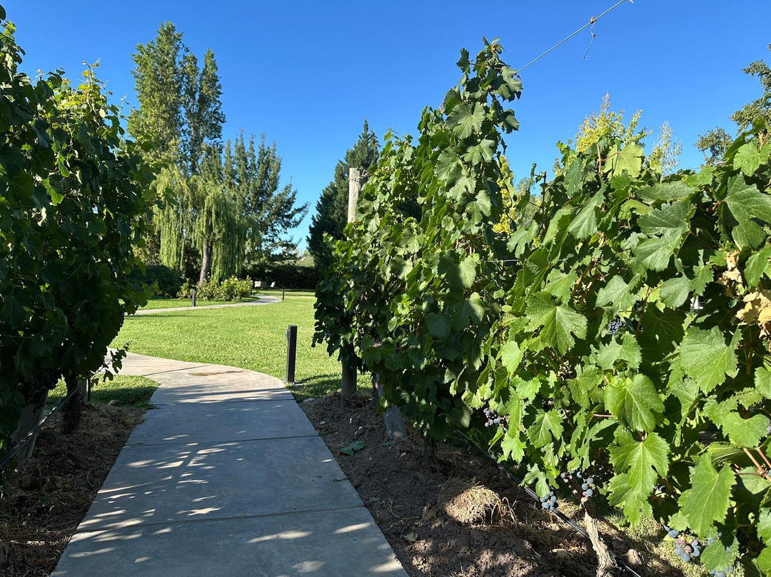 Posada Verde Oliva主图