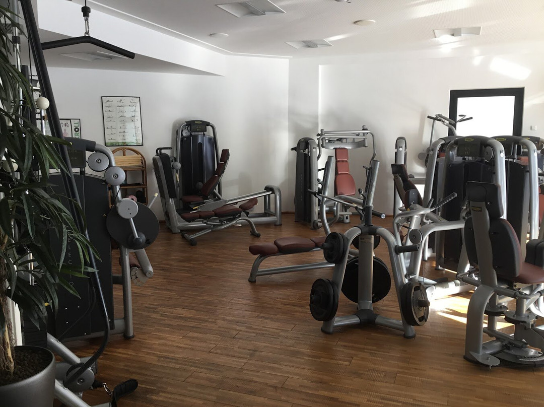 Hotel Alpina deluxe主图