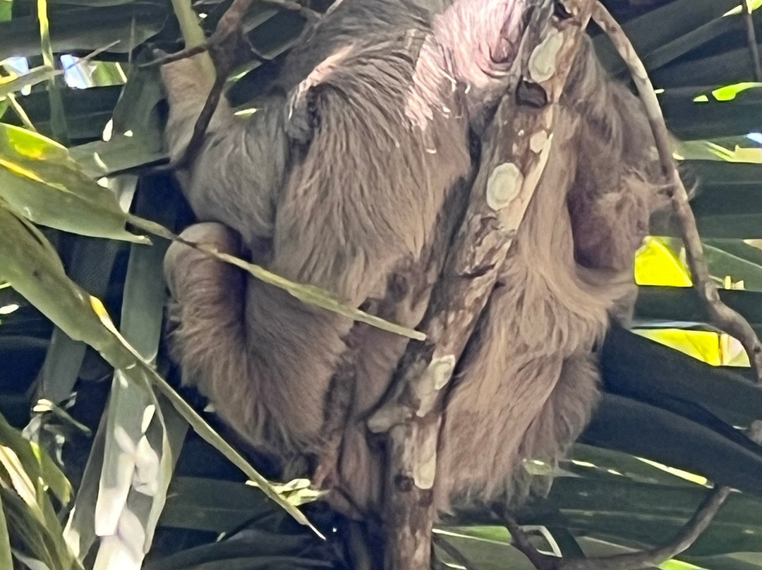 GoSUPCostaRica景点图片