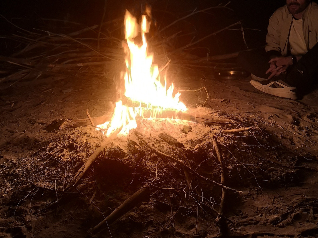 Thar Desert Tours景点图片