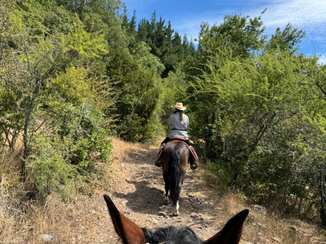 Chile Horse Riding-Panimavida必去景点