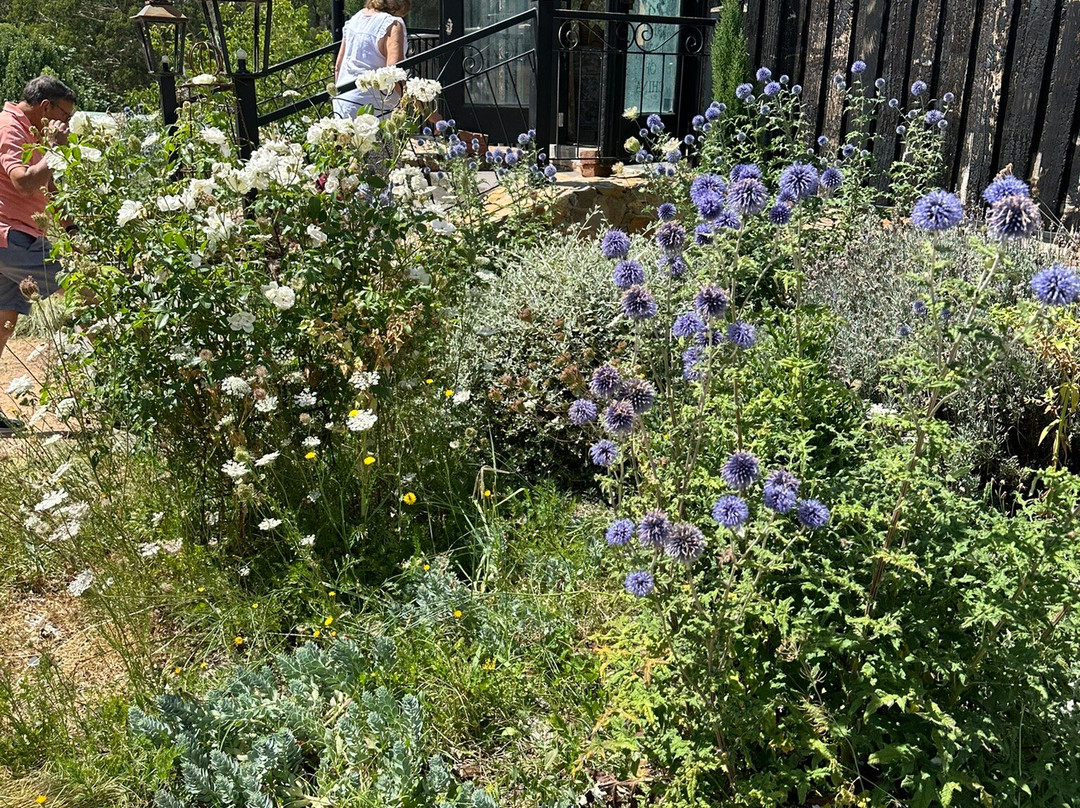 Black Barn Farm-Stanley必去景点