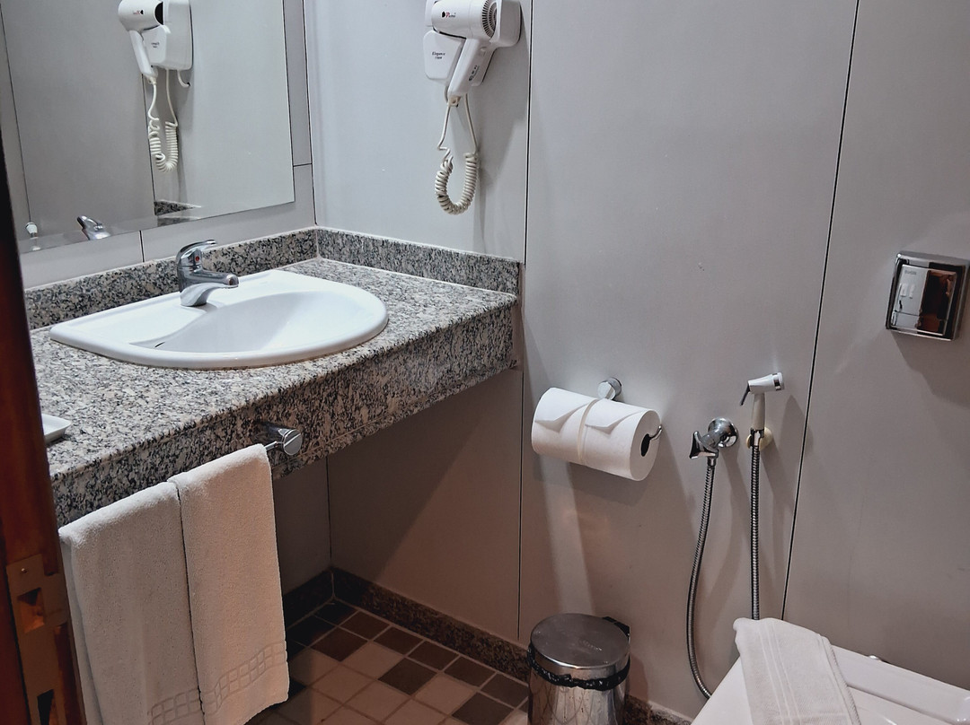 Premier Parc Hotel主图