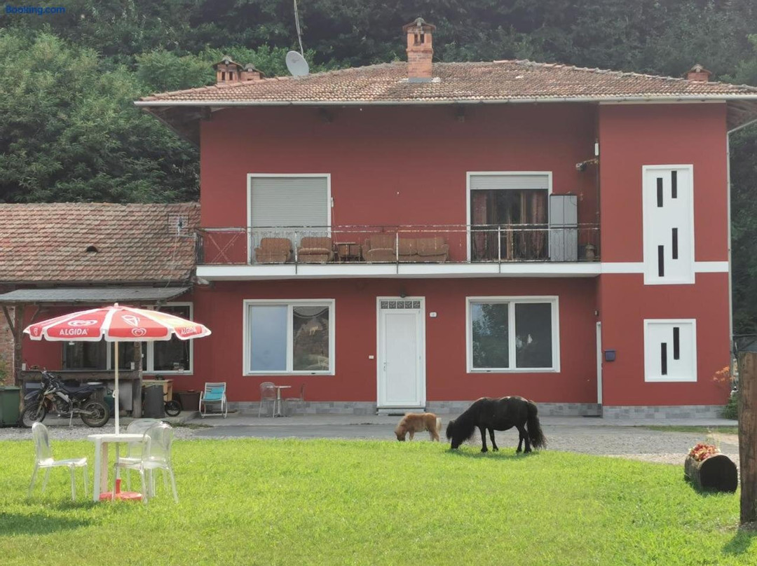 The Horse Guest House
