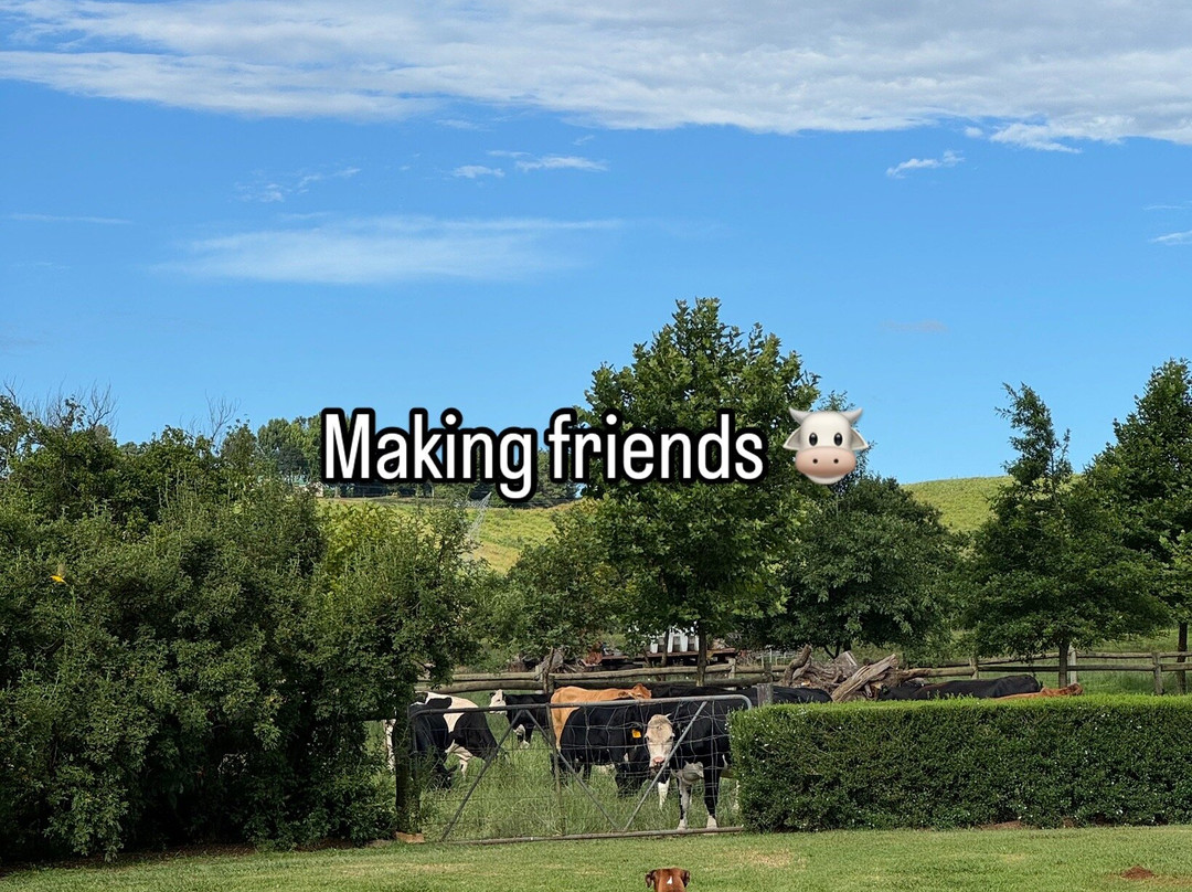 Springvale Farm Cottages主图