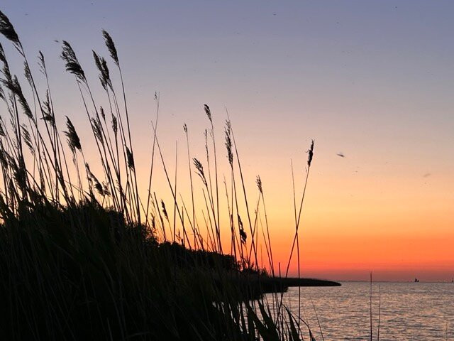 Marina Trzebież-Trzebiez必去景点