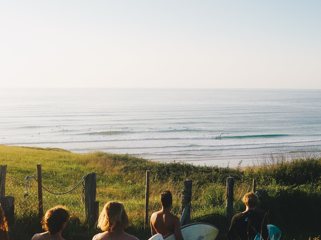 Amigos Surf Camp