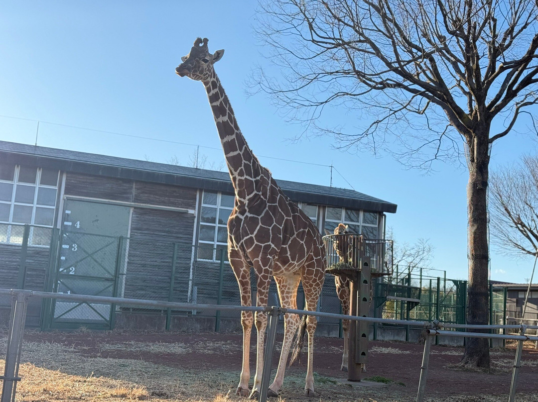Saitama Children Zoo-东松山市必去景点