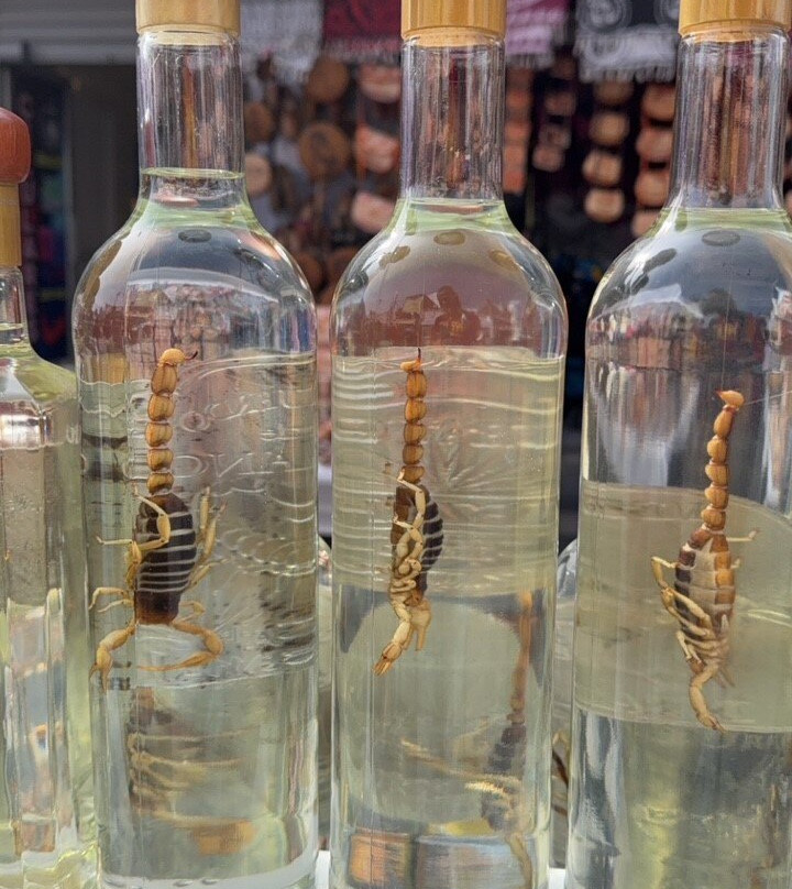 Mercado  Juarez-华瑞兹城必去景点