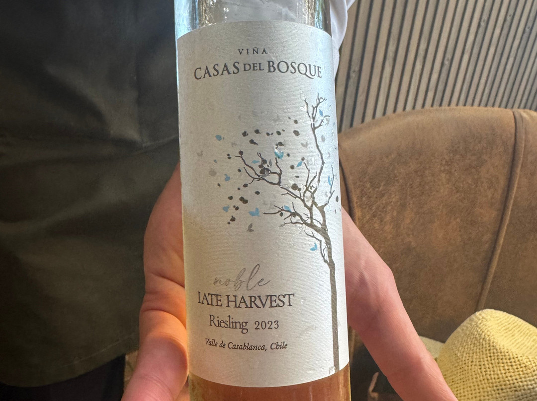 Valparaiso Wine Tours-瓦尔帕莱索必去景点