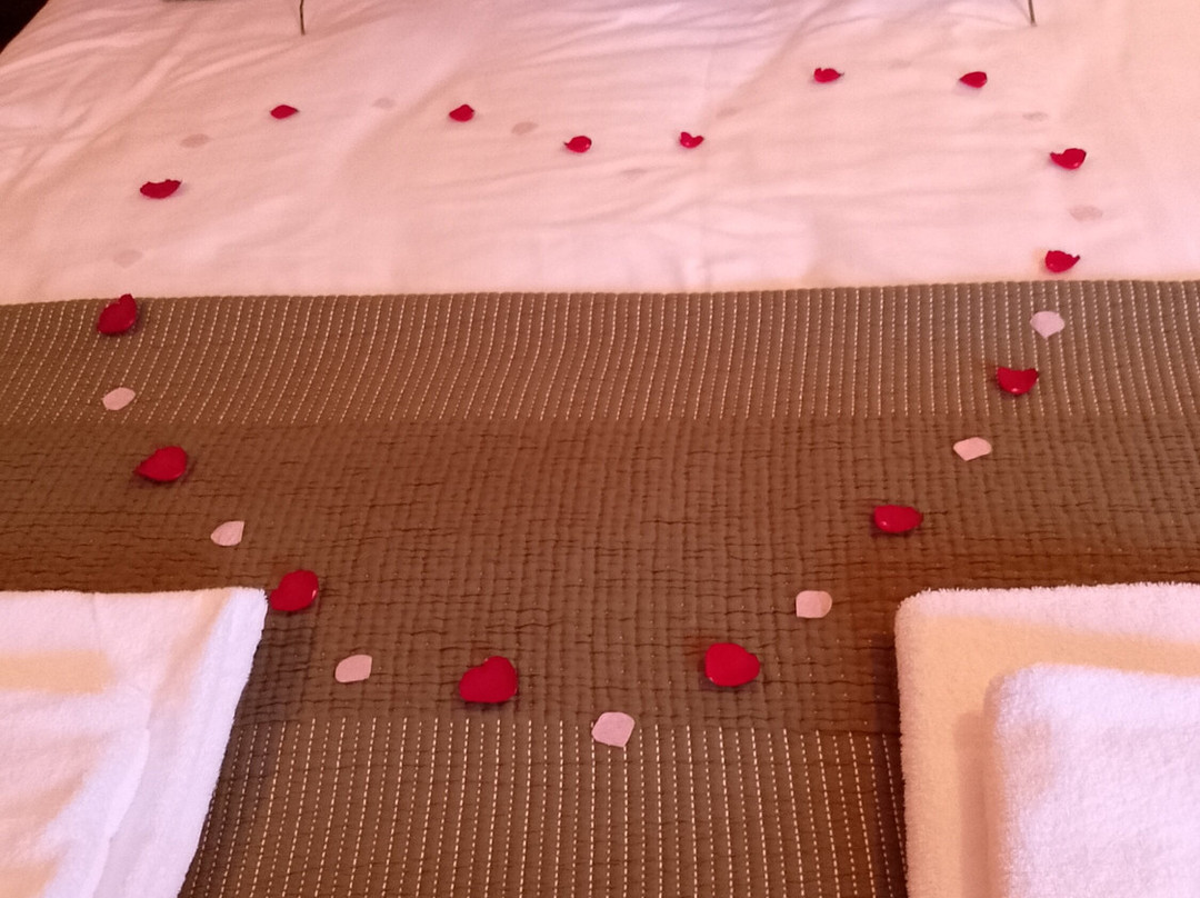 The Wolfe Inn Wolfscastle主图