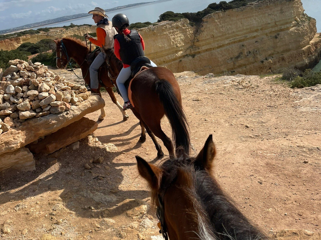 Solid Rocks Algarve Horse Trail Adventures景点图片