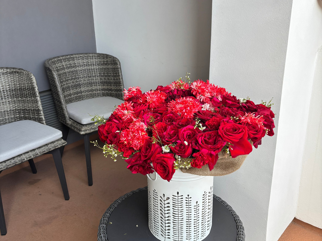 La Quinta Inn & Suites by Wyndham Santa Cruz主图