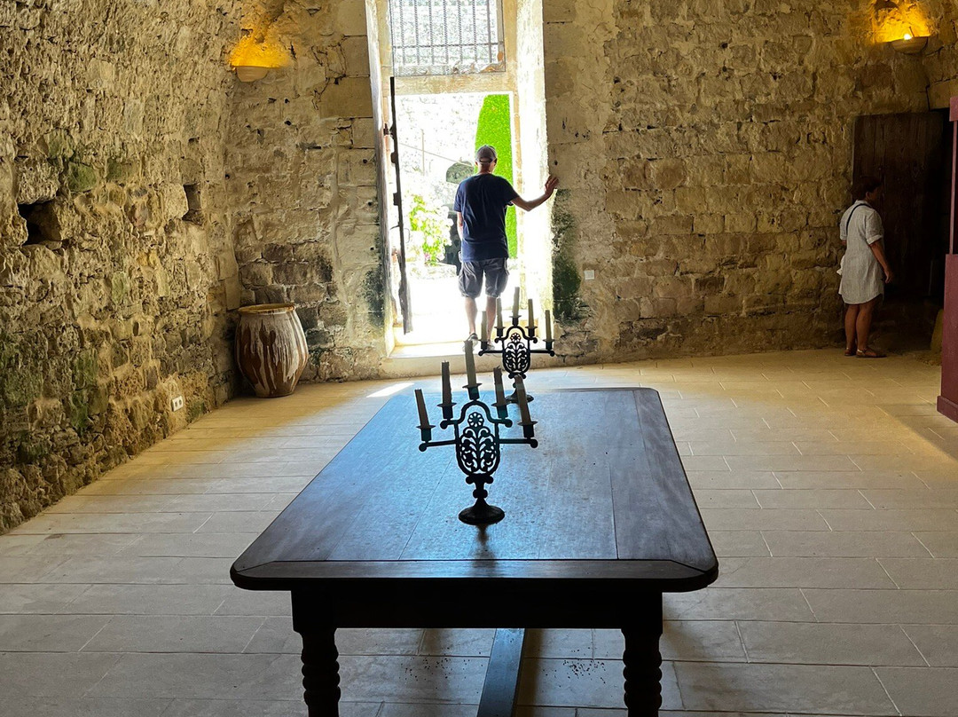 Château de Cazeneuve景点图片