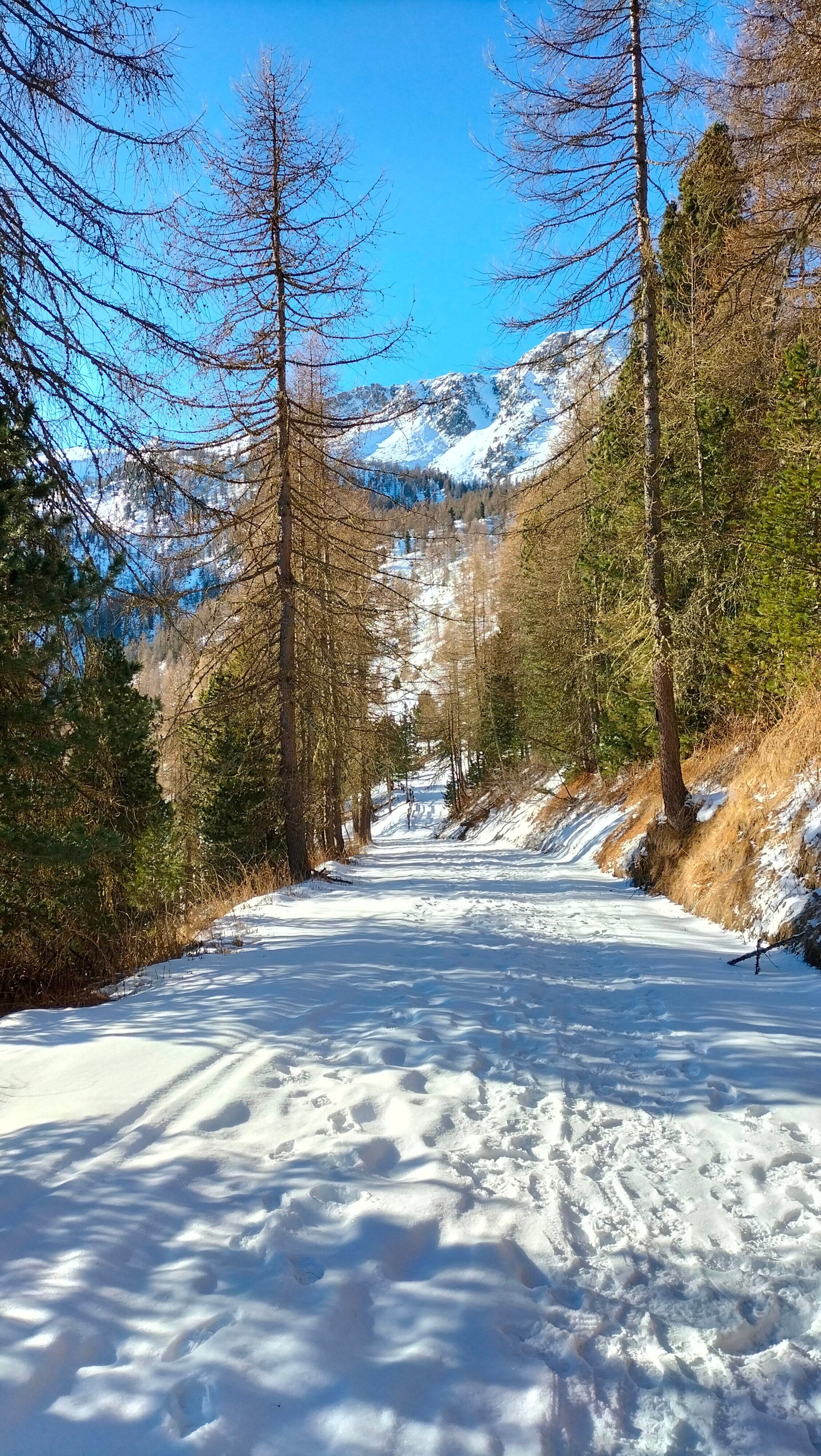 Rifugio Meira Garneri-官方