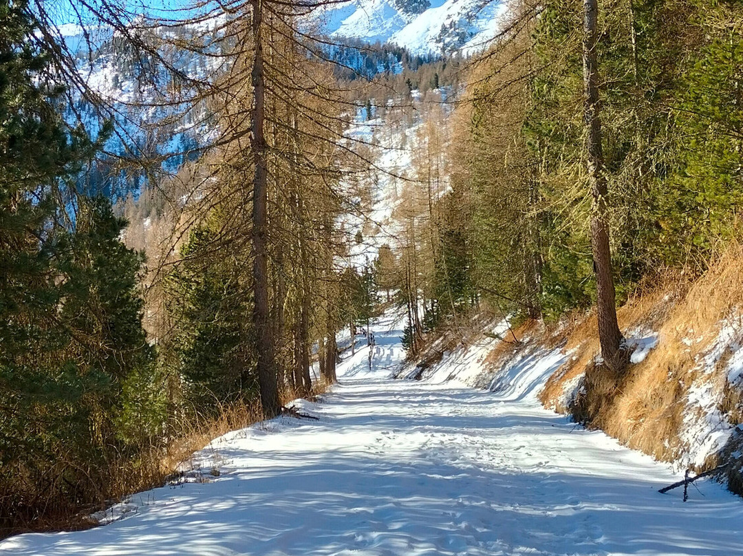 Rifugio Meira Garneri主图