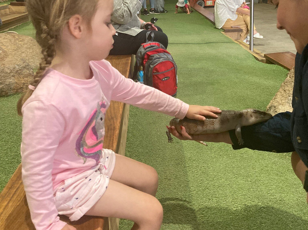 Ballarat Wildlife Park-巴拉瑞特必去景点