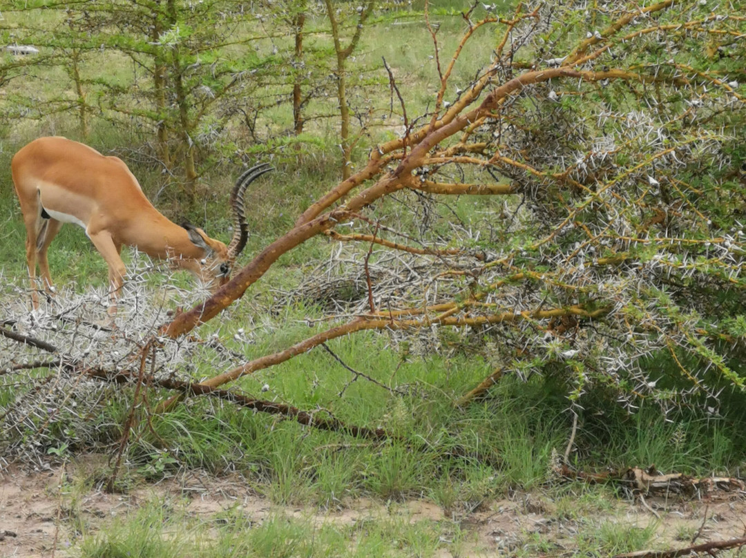 Hello Tanzania-Dar es Salaam必去景点
