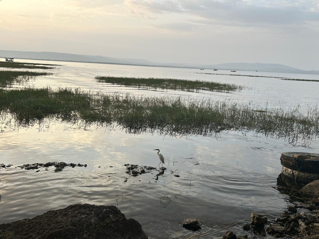 Yama Ethiopia Tours-亚的斯亚贝巴必去景点