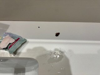 Best Western Seaside Inn-官方