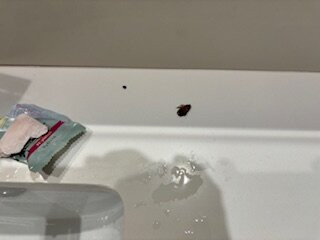 Best Western Seaside Inn主图