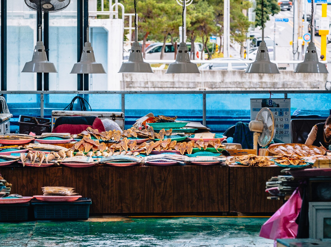 Yeosu Fish Market-丽水市必去景点