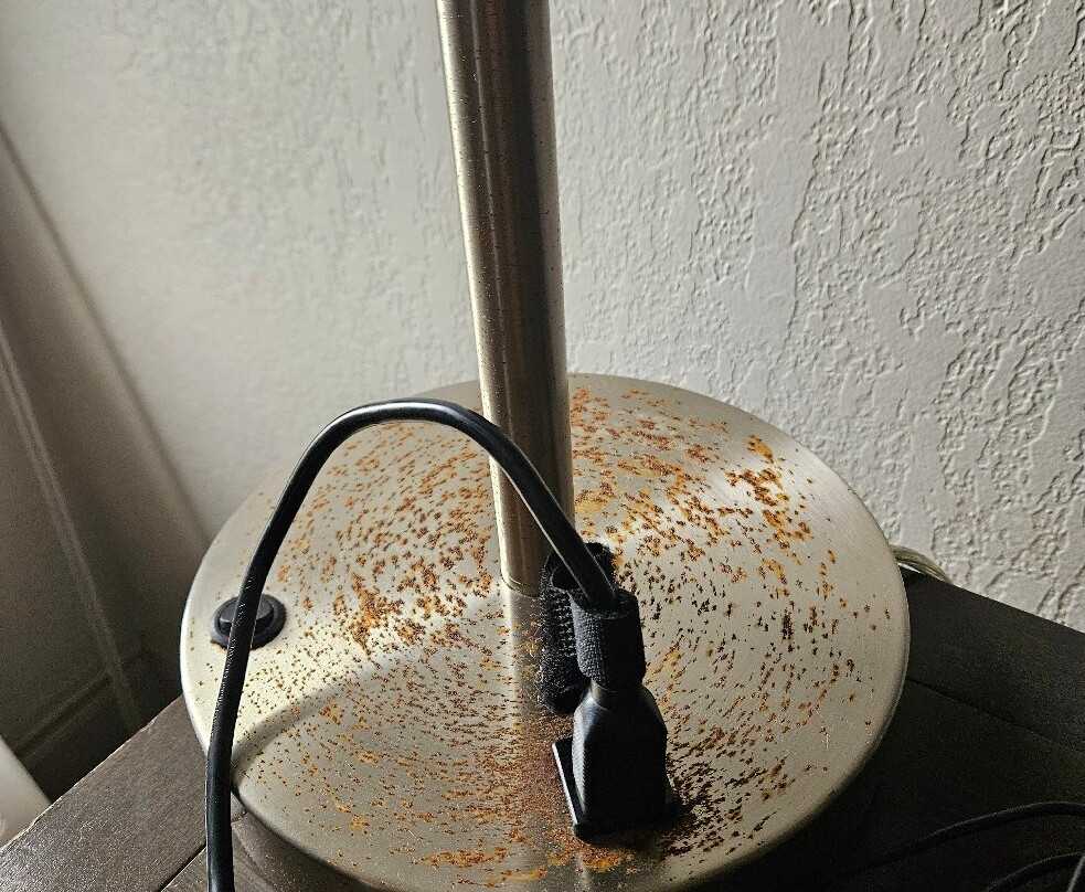 Hampton Inn Ft. Lauderdale/Plantation主图