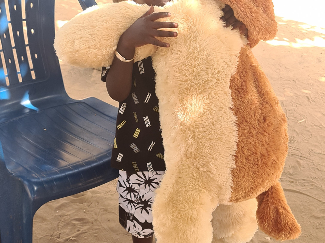 Taxi & excursions Riu baobab Sénégal景点图片