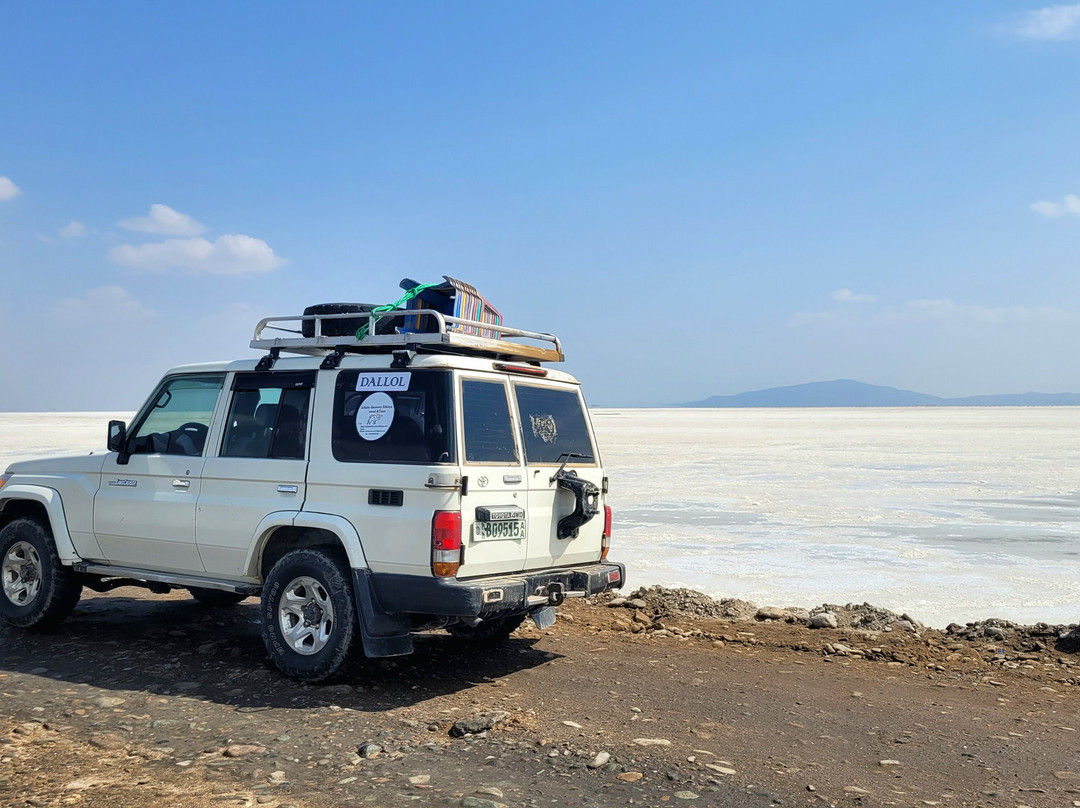 Bale Mountains Eco Trekking Tours景点图片