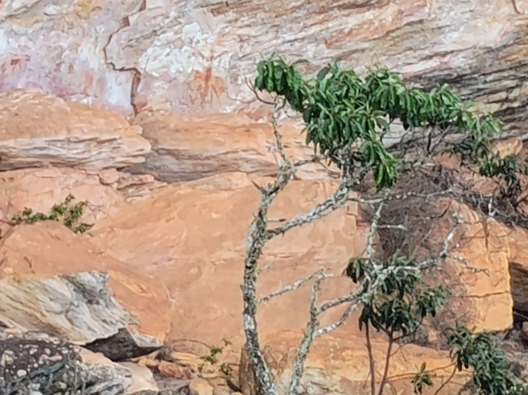 Sítio Arqueológico da Pedra Pintada景点图片