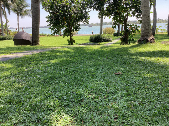 维宏翡翠度假村主图