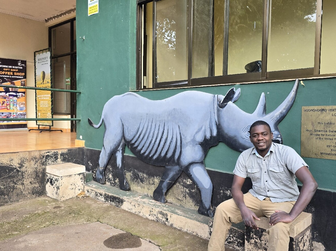 Mikumi Car Rental Safaris-Dar es Salaam必去景点