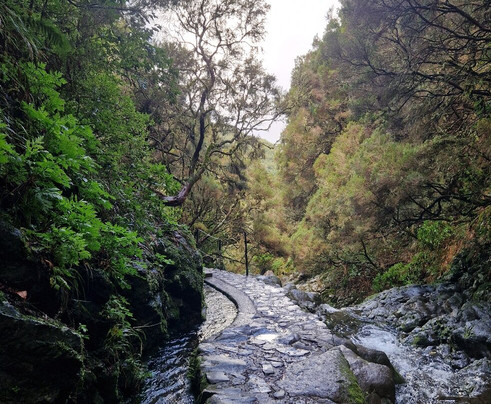 Go Trail-沙尔必去景点