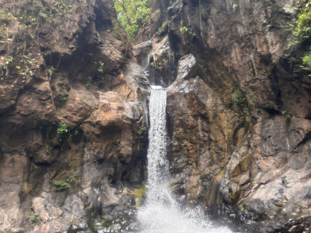 Azuero Adventures景点图片