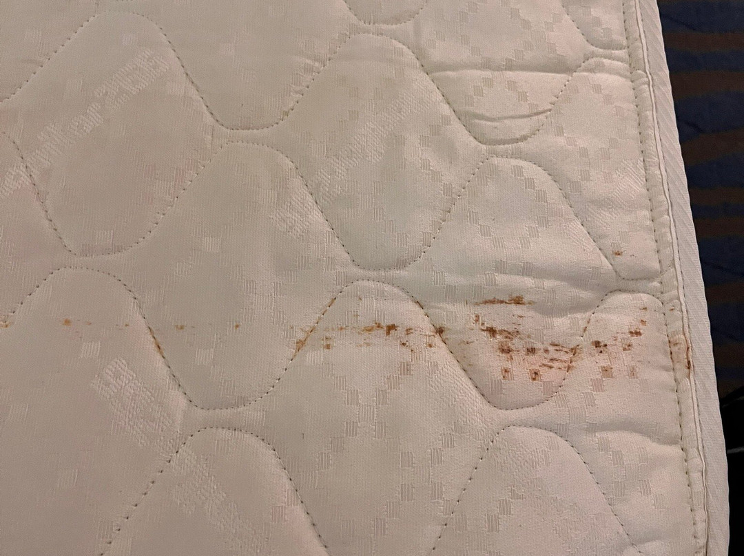 Holiday Inn Express & Suites Glenpool-tulsa South By IHG主图