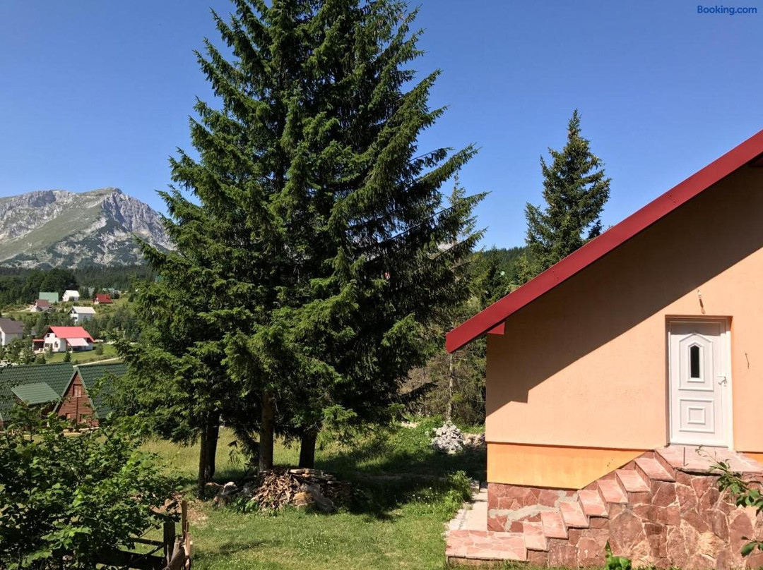 Durmitor Apartments Holiday