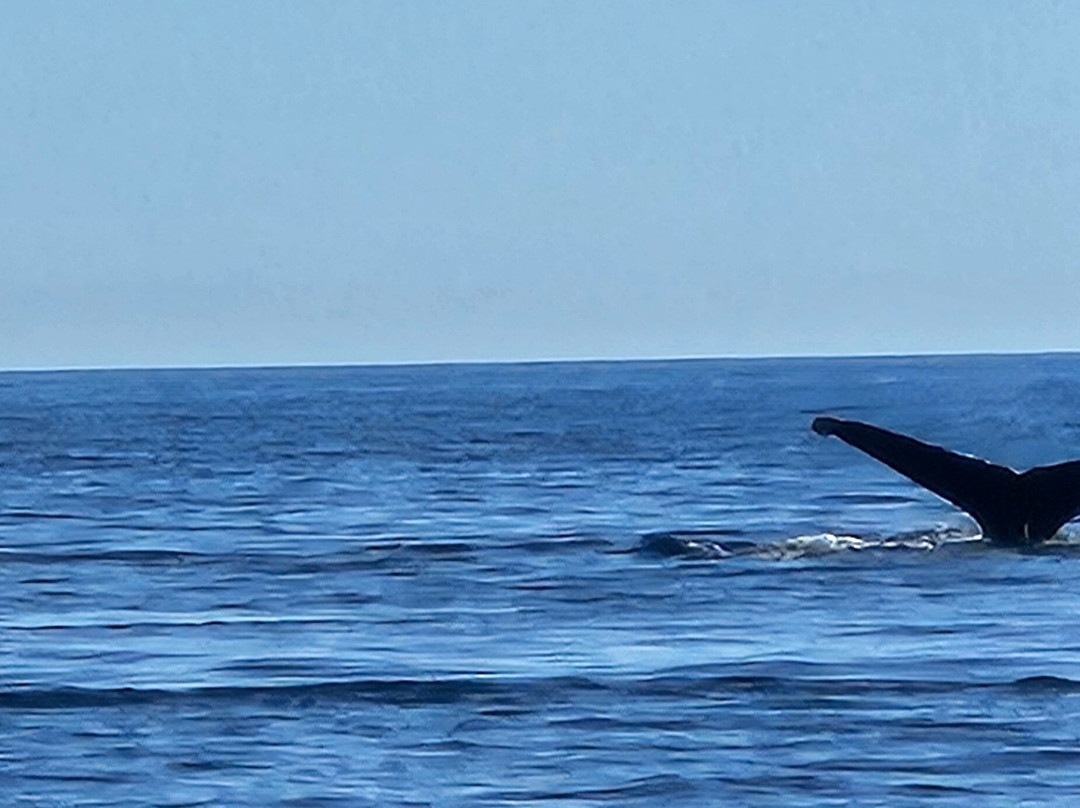 La ventana dive center-La Ventana必去景点