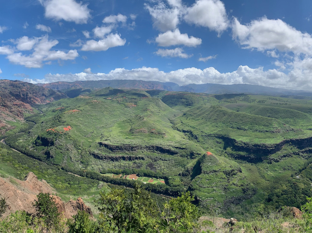 Kauai Car & Scooter Rental景点图片