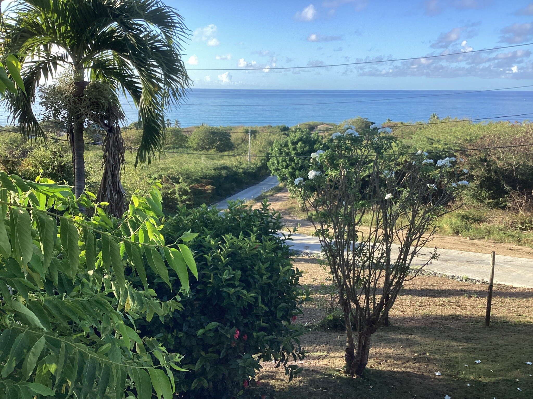 Hacienda Tamarindo-官方