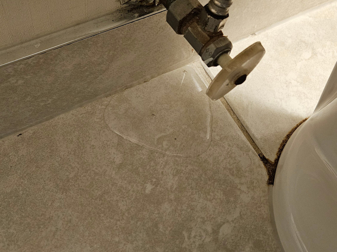 Quality Inn & Suites主图