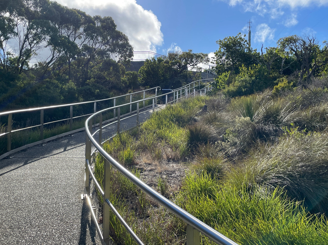Padre White Lookout-奥尔巴尼必去景点