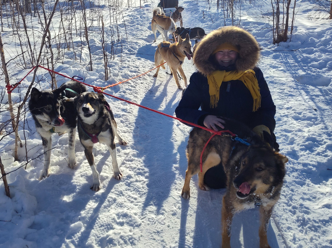 Cotter's Sled Dog Tours景点图片