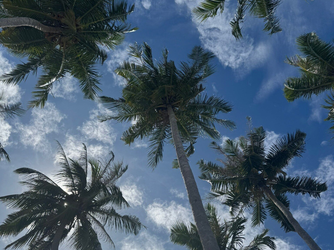 麦特楼住宿加早餐旅馆主图