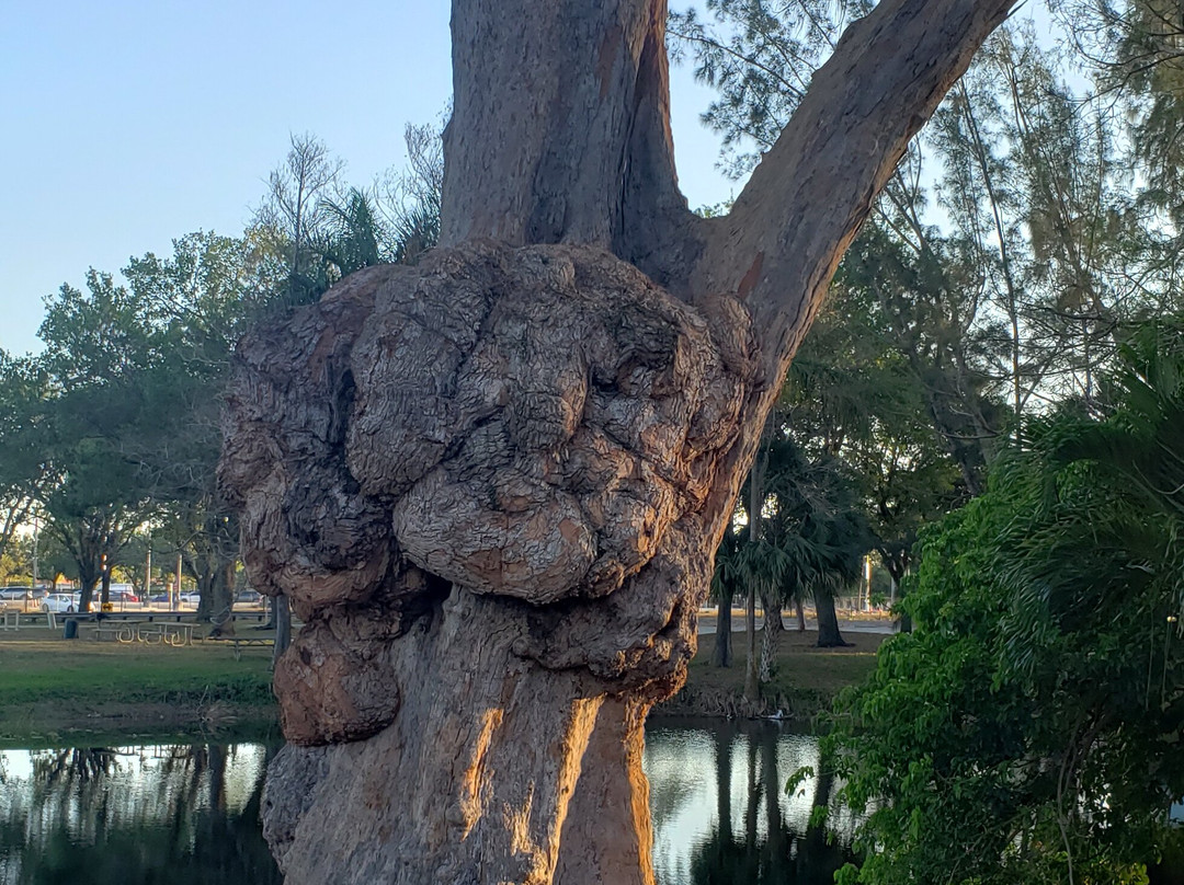 C.B. Smith Park-彭布罗克派恩斯必去景点