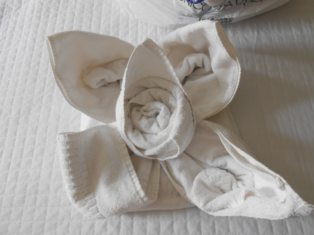 Das Nacoes Hotel主图