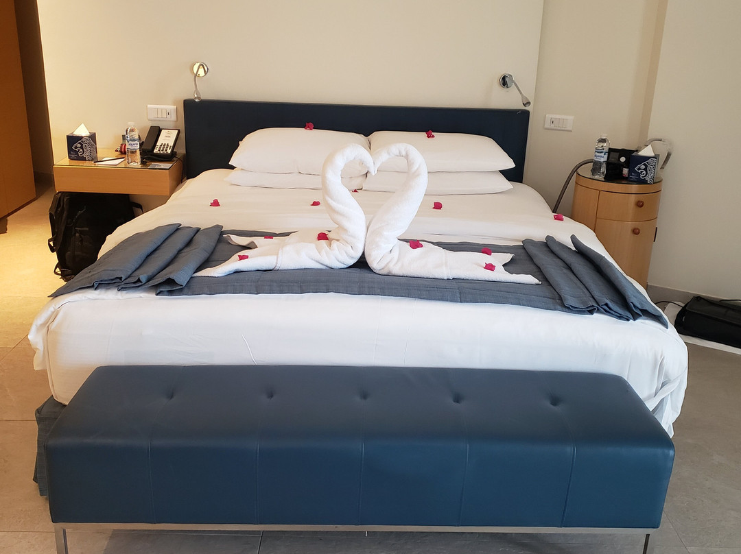 伊始塔死海开平酒店主图