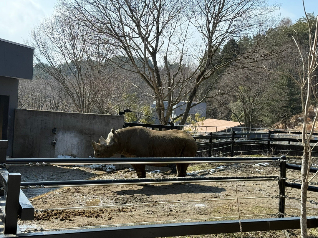 Morioka Zoological Park-盛冈市必去景点