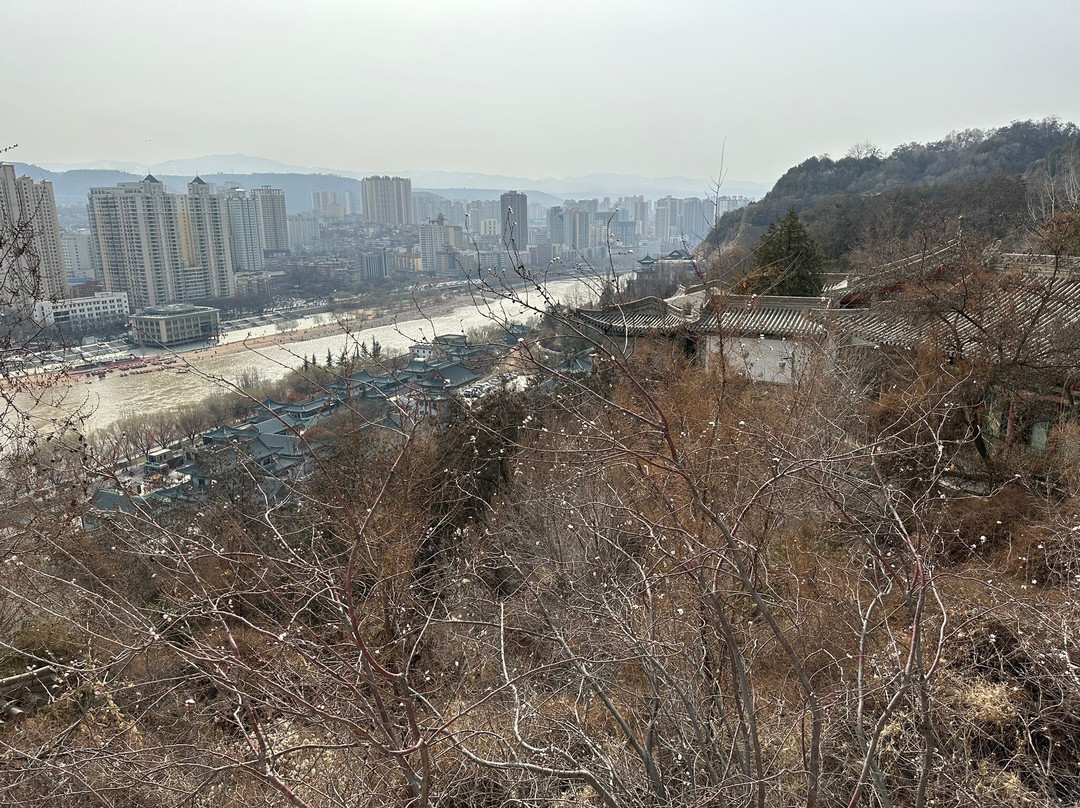 兰州白塔山景点图片